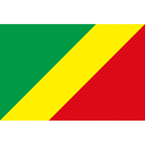 剛果共和國國旗Republic of the Congo – 天麗旗幟有限公司