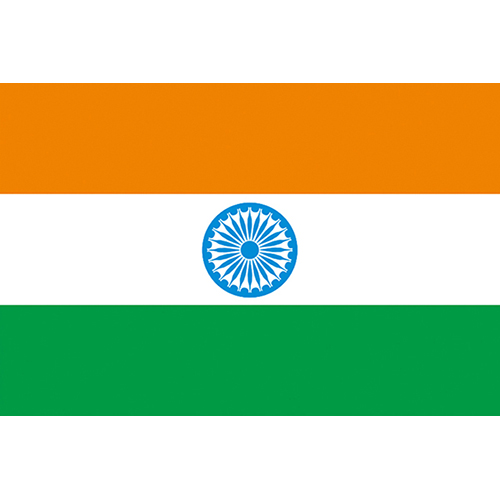 印度國旗india 天麗旗幟有限公司
