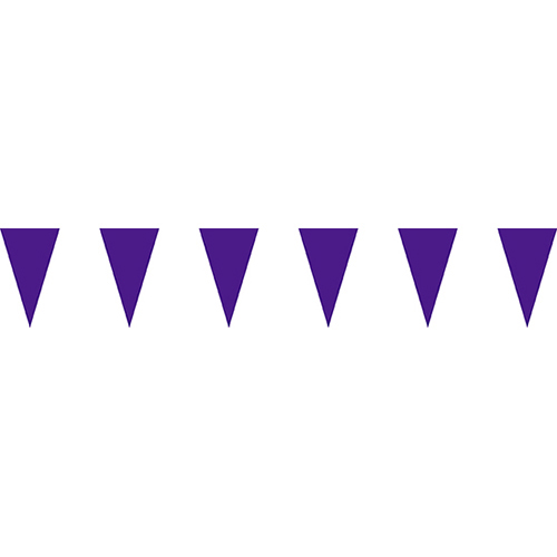 紫色三角串旗;彩色三角串旗