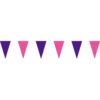 紫粉三角串旗;彩色三角串旗