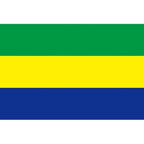 加彭國旗