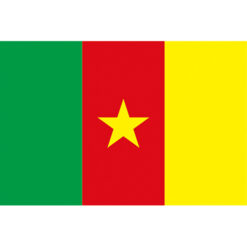 喀麥隆國旗