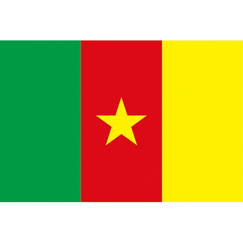 喀麥隆國旗