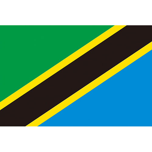 坦桑尼亞國旗