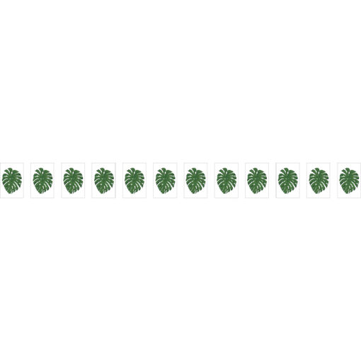 龜背芋串旗